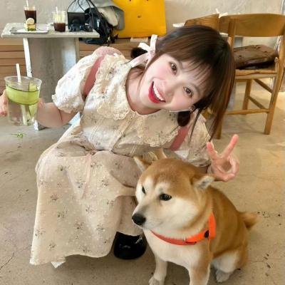 恋爱检讨书